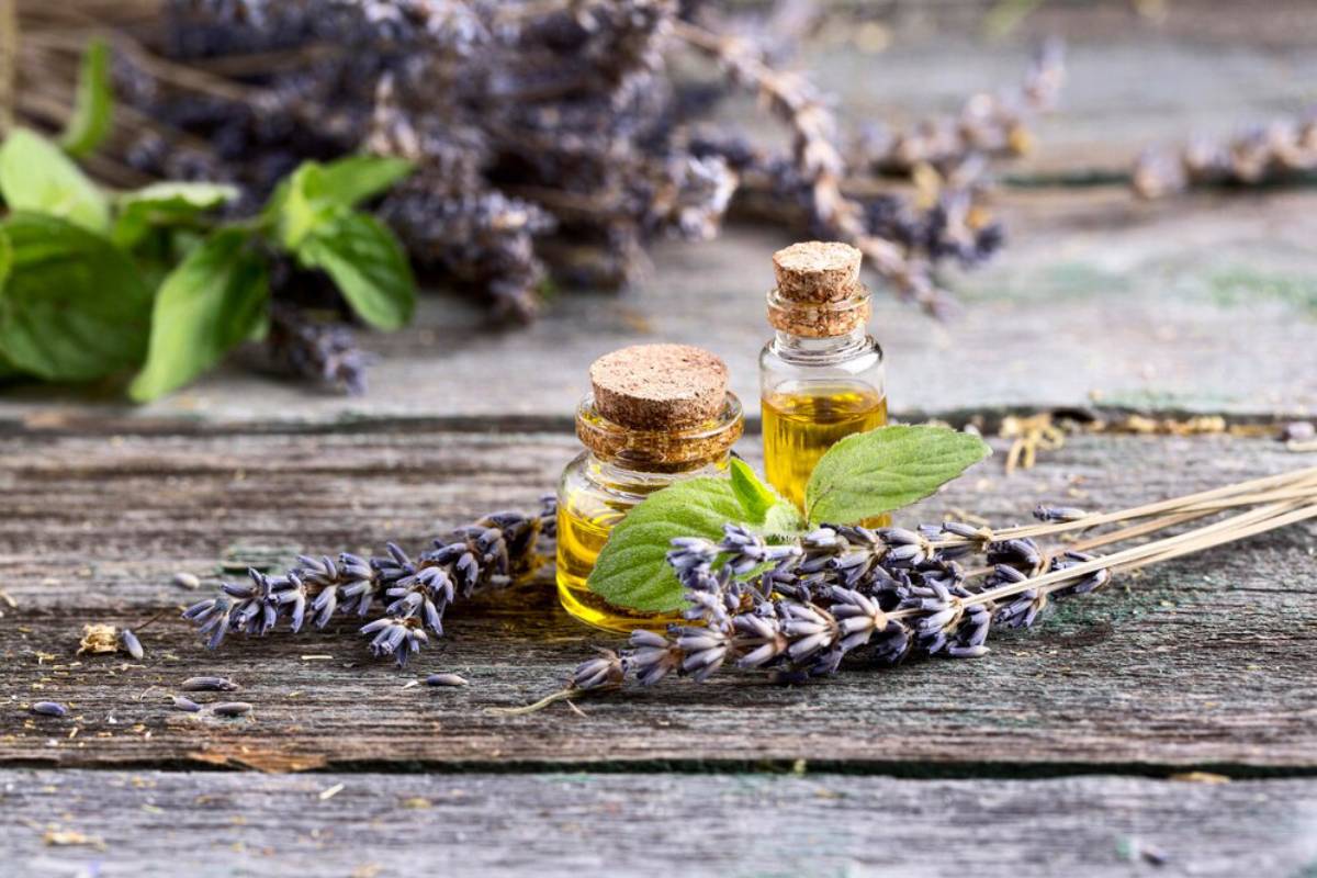 Two small bottles of essential oil with cork stoppers on a wooden surface, surrounded by dried lavender and fresh mint leaves.